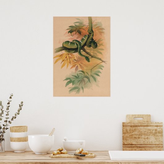 De Groene Boa van Joseph Wolf Poster (Keuken)