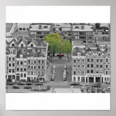 De groene boom poster (Voorkant)