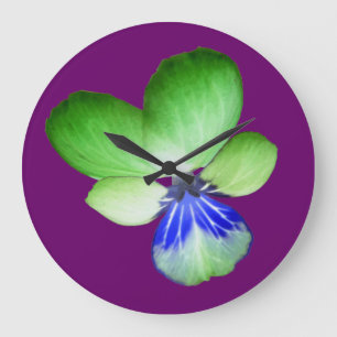 De groene en Blauwe Klok van de Muur van het