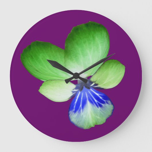 De groene en Blauwe Klok van de Muur van het (Voorkant)