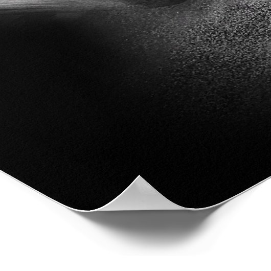 De Groene Hornet - Zwarte Schoonheid Poster (Hoek)