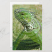 De Groene Iguana Briefpapier (Voorkant / Achterkant)