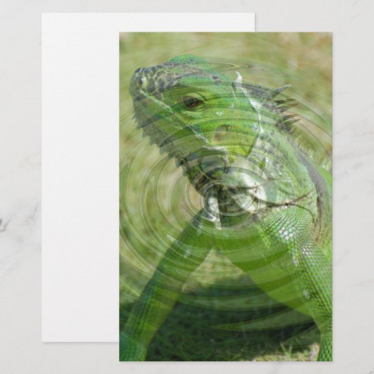 De Groene Iguana Briefpapier (Voorkant / Achterkant)