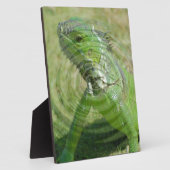 De Groene Iguana Fotoplaat (Zijkant)