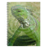 De Groene Iguana Notitieboek (Voorkant)