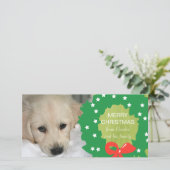 De groene Kaart van de Foto van de Hond van (Staand voorkant)