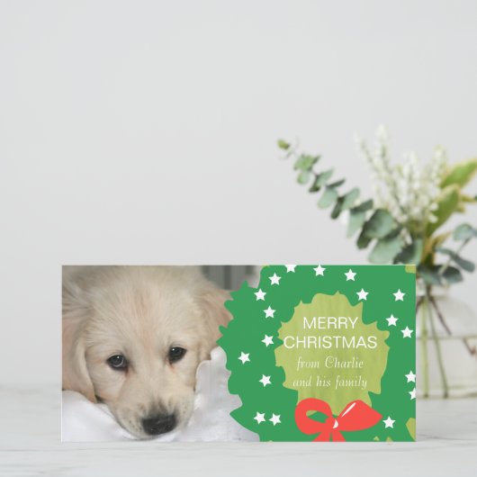 De groene Kaart van de Foto van de Hond van (Staand voorkant)