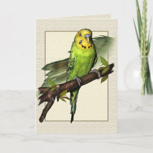 De groene Kaart van de Groeten van de Kunst Budgie