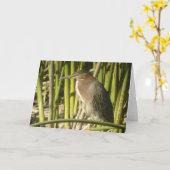 De groene Kaart van de Reiger (Gele Bloem)