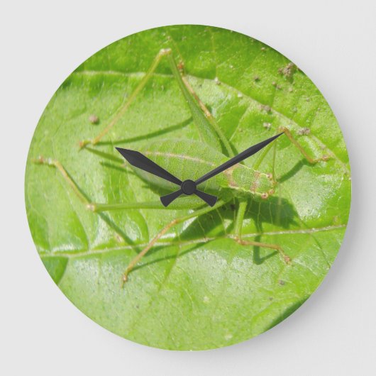 De groene Klok van de Muur van de Camouflage van (Voorkant)