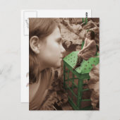 De groene lantaarn. briefkaart (Voorkant / Achterkant)