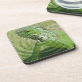 De Groene Leguaan Bier Onderzetter (Linkerzijde)