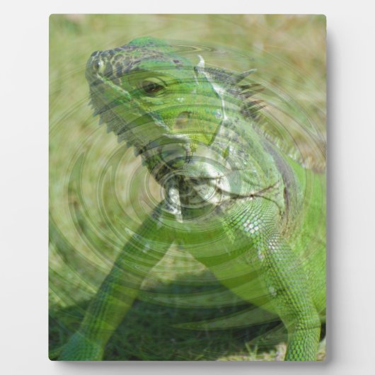 De Groene Leguaan Fotoplaat (Voorkant)