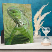 De Groene Leguaan Fotoplaat (Zijkant)