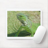 De Groene Leguaan Muismat (Met muis)