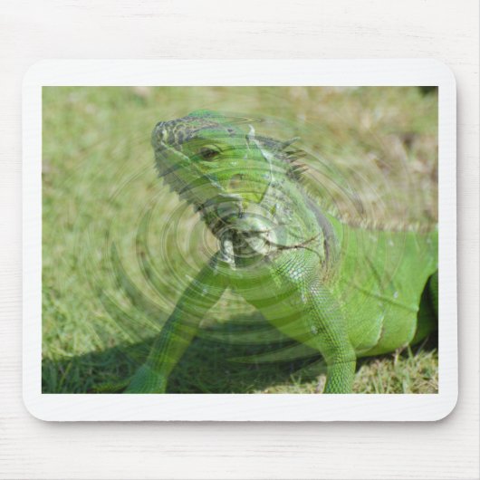 De Groene Leguaan Muismat (Voorkant)