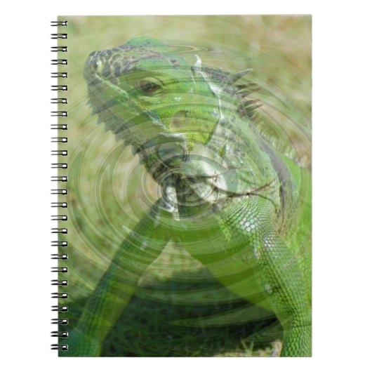 De Groene Leguaan Notitieboek (Voorkant)