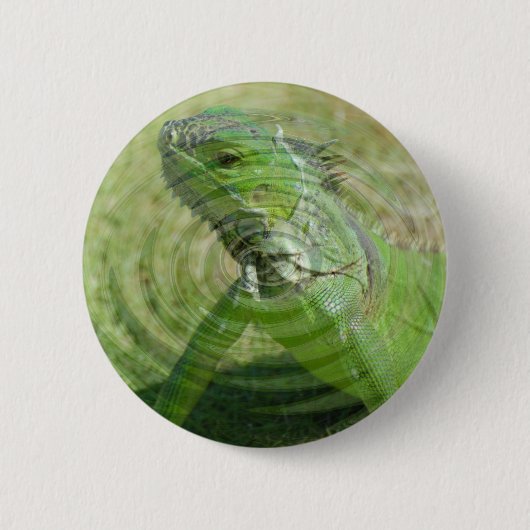 De Groene Leguaan Ronde Button 5,7 Cm (Voorkant)