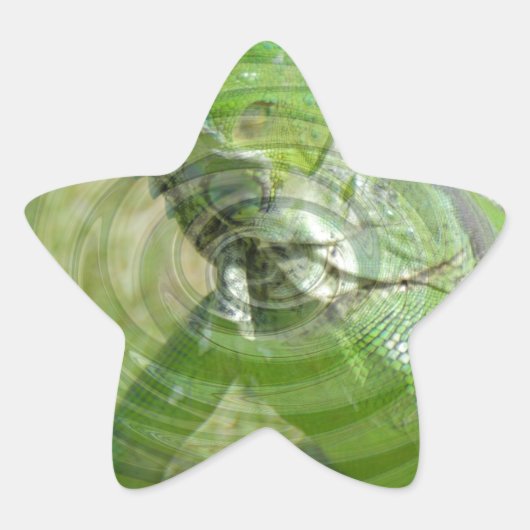 De Groene Leguaan Ster Sticker (Voorkant)