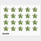 De Groene Leguaan Ster Sticker (Vel)