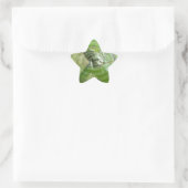 De Groene Leguaan Ster Sticker (Tas)