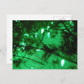De groene Lichten van Kerstmis Feestdagenkaart (Voorkant / Achterkant)