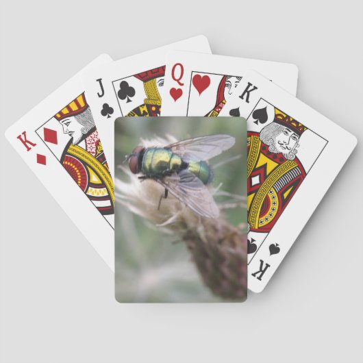 De groene MacroSpeelkaarten van de Vlieg van de Pokerkaarten (Achterkant)