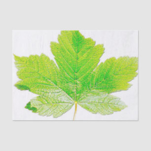 De groene Natuur van het Blad Tissuepapier