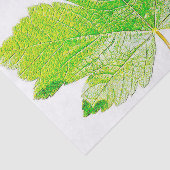 De groene Natuur van het Blad Tissuepapier (Detail)