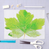 De groene Natuur van het Blad Tissuepapier (Craft)