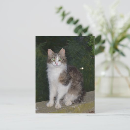 De Groene Ogen van de kat met Glimworm Briefkaart (Staand voorkant)