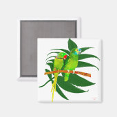 De Groene Papegaaien Cadeaus Magneet (Voorkant / Achterkant)