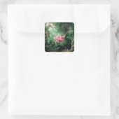 DE groene roze VAN DE ZWANGERSCHAP Vierkante Sticker (Tas)