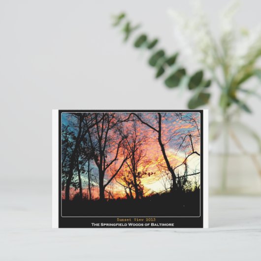 De Groene Ruimte van Baltimore - het Uitzicht van Briefkaart (Staand voorkant)