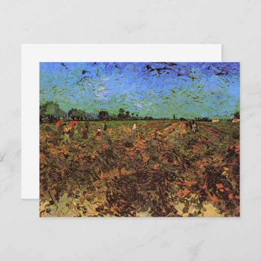 De Groene Vineyard van Vincent van Gogh (Voorkant / Achterkant)