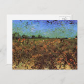 De Groene Vineyard van Vincent van Gogh Briefkaart (Voorkant / Achterkant)
