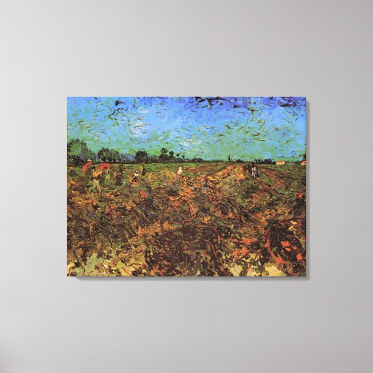 De Groene Vineyard van Vincent van Gogh Canvas Afdruk (Voorkant)