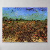 De Groene Vineyard van Vincent van Gogh Poster (Voorkant)