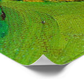 De groene vogel met de blauwe dop poster (Hoek)