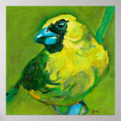 De groene vogel met de blauwe dop poster (Voorkant)