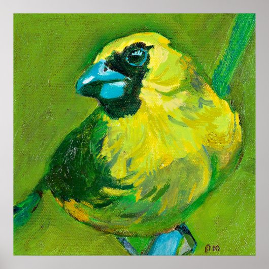 De groene vogel met de blauwe dop poster (Voorkant)