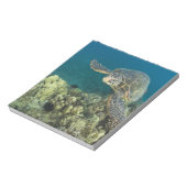 De Groene Zee schildpad (Chelonia mydas) is de 2 Notitieblok (Linkerzijde)