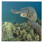 De Groene Zee schildpad (Chelonia mydas) is de 2 Tegeltje (Voorkant)