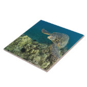 De Groene Zee schildpad (Chelonia mydas) is de 2 Tegeltje (Zijkant)