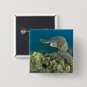 De Groene Zee schildpad (Chelonia mydas) is de 2 Vierkante Button 5,1 Cm (Voorkant /achterkant)