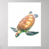 De groene Zee schildpad (gekleurd) Poster (Voorkant)