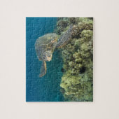 De Groene Zeeschildpad, (Chelonia mydas), is de 2 Legpuzzel (Verticaal)