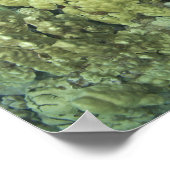 De Groene Zeeschildpad, (Chelonia mydas), is de 2 Poster (Hoek)