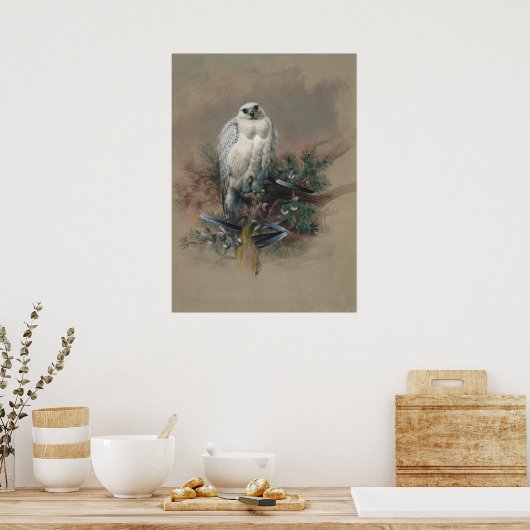 De Groenlandse valk door Joseph Wolf Poster (Keuken)