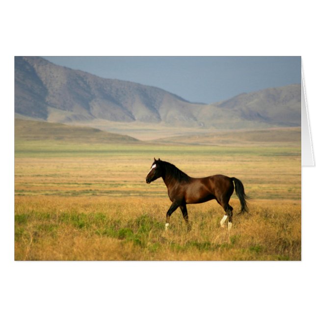 De groep (Voorkant Horizontaal)